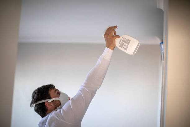 Best Commercial Mold Remediation in De Soto, MO