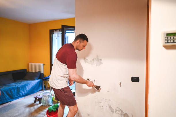 Best Crawl Space Mold Remediation in De Soto, MO